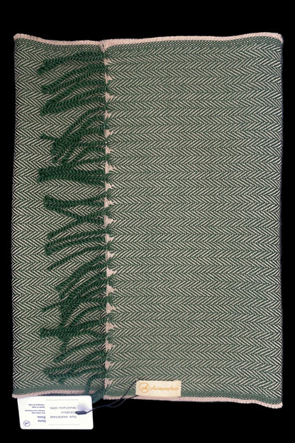 Green and Beige Wool Stole with Fringes
