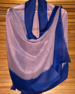 Onion Pink and Blue Ombre Scarf